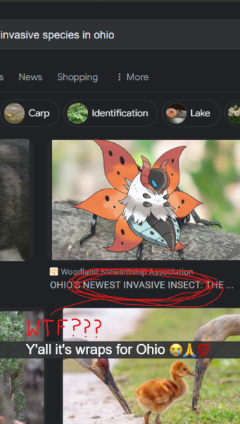 1713112182981.png