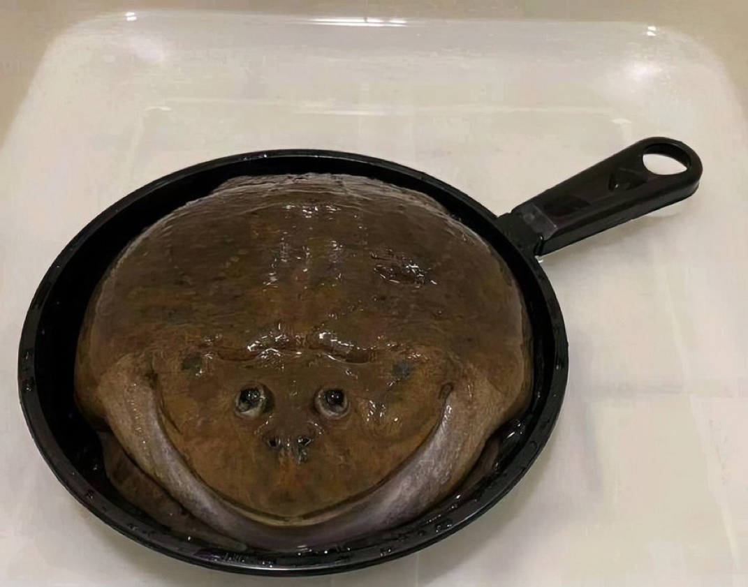 1716383722106.png