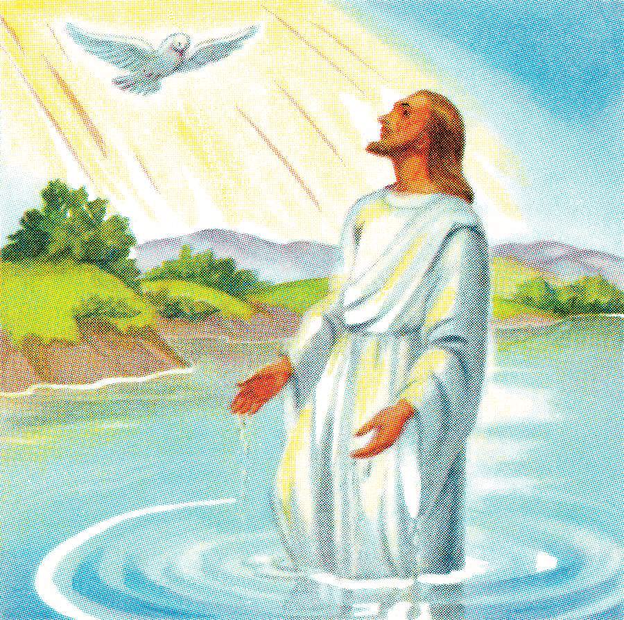 1719080434930.png