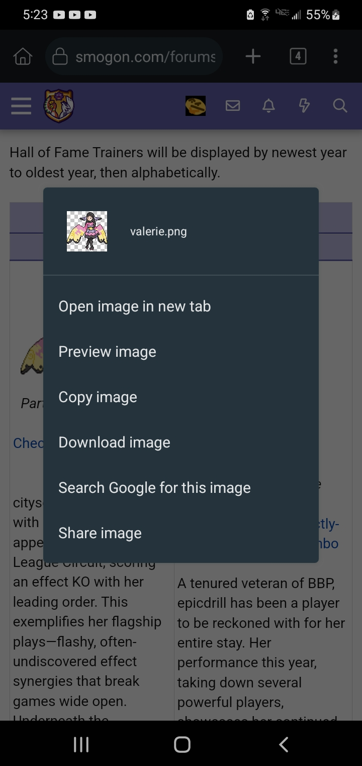 1720308246589.png