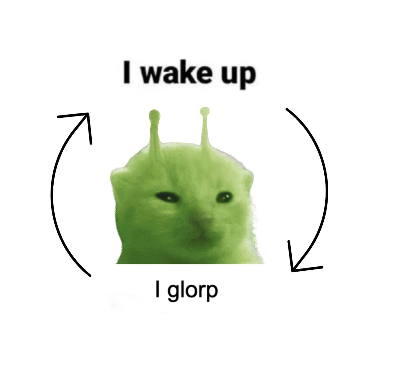 1720501846502.png