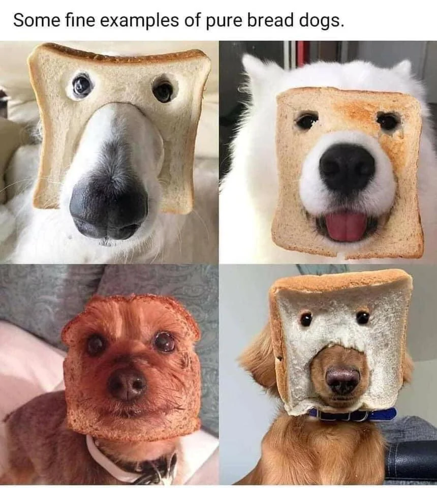1723307542059.png