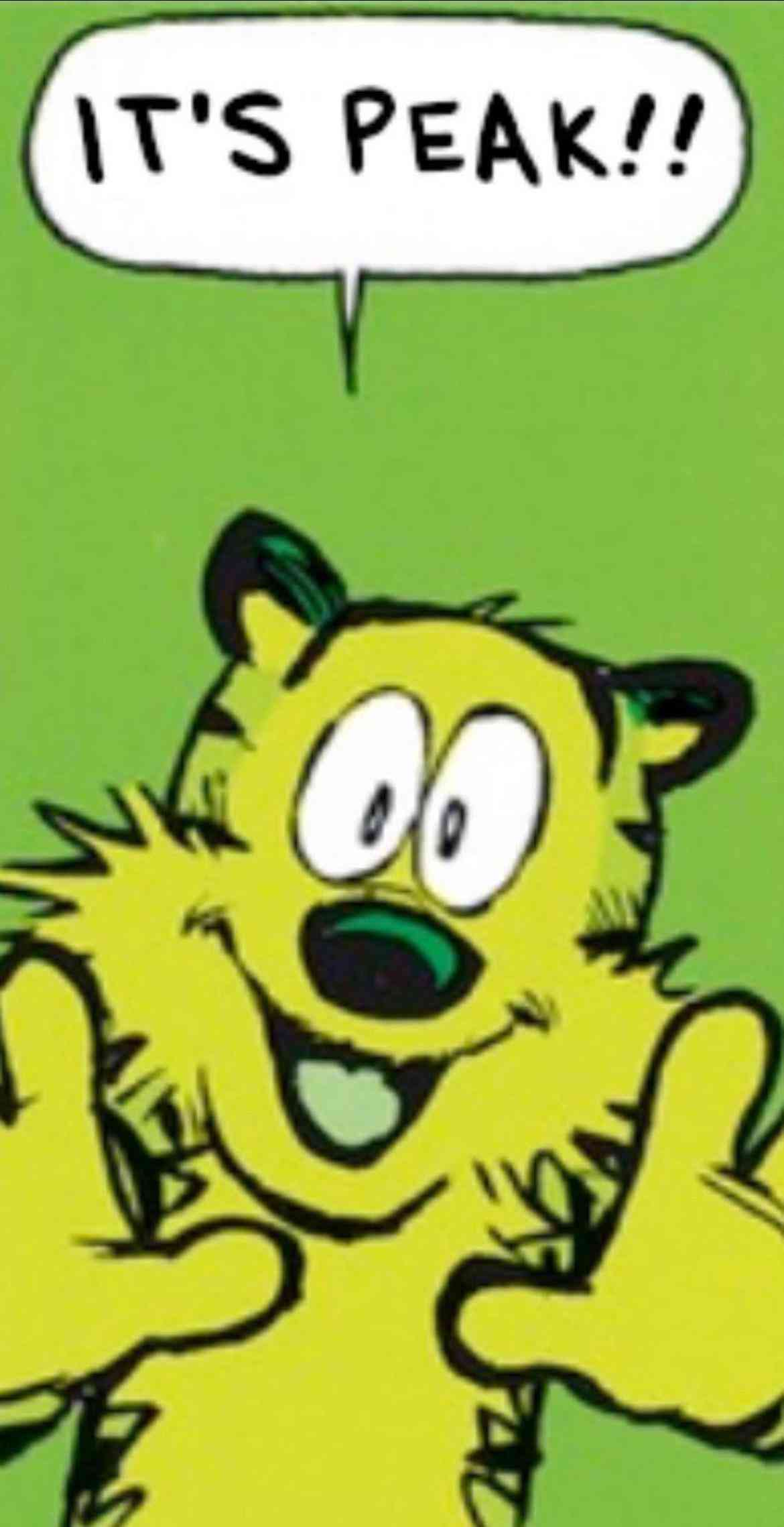 1730434658110.png