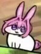 1731216525231.jpeg