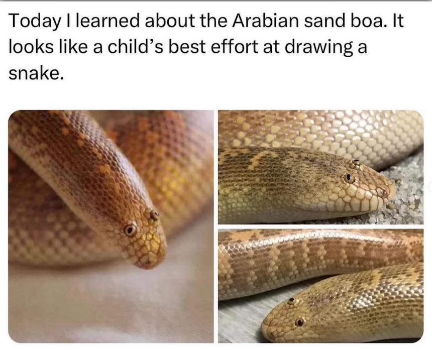 1731940365301.png