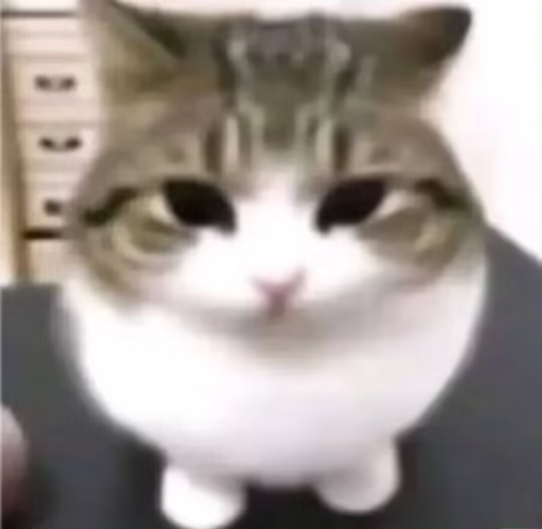 1732191743280.jpeg