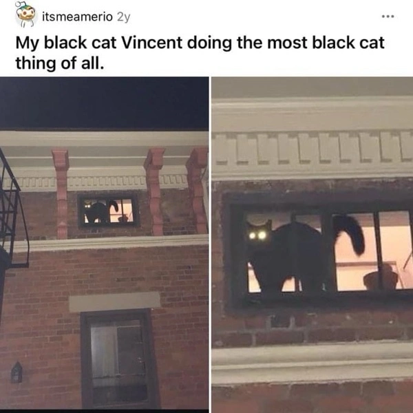 1732287869608.png