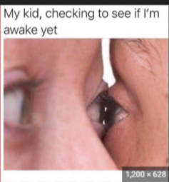 1734022815907.png