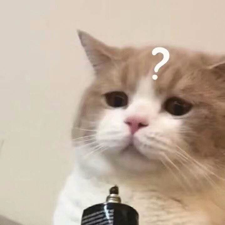 1735093441415.jpeg
