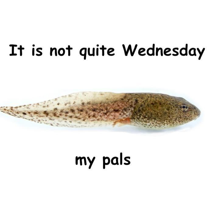 1737491778926.jpeg