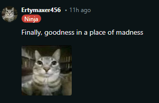1737557228302.png