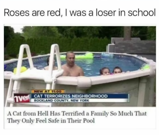 1738706691455.png