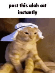 1739808192379.png