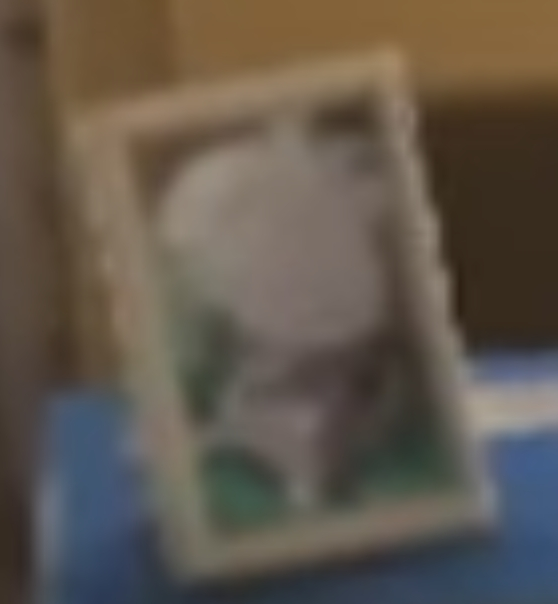 1740667086804.png