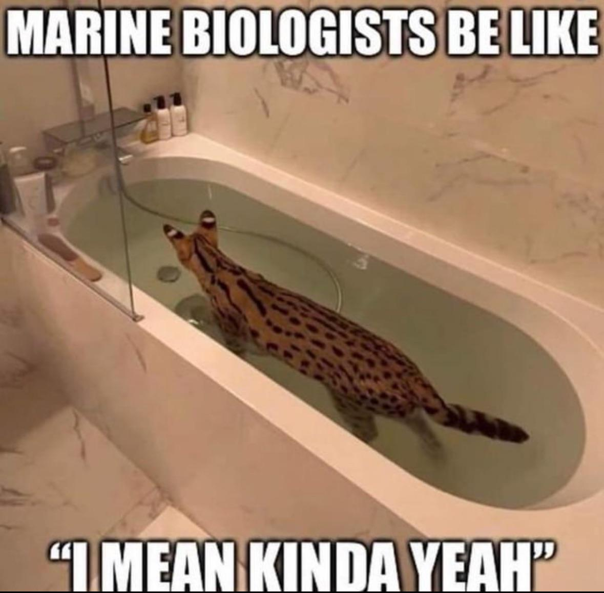 1741547664544.png
