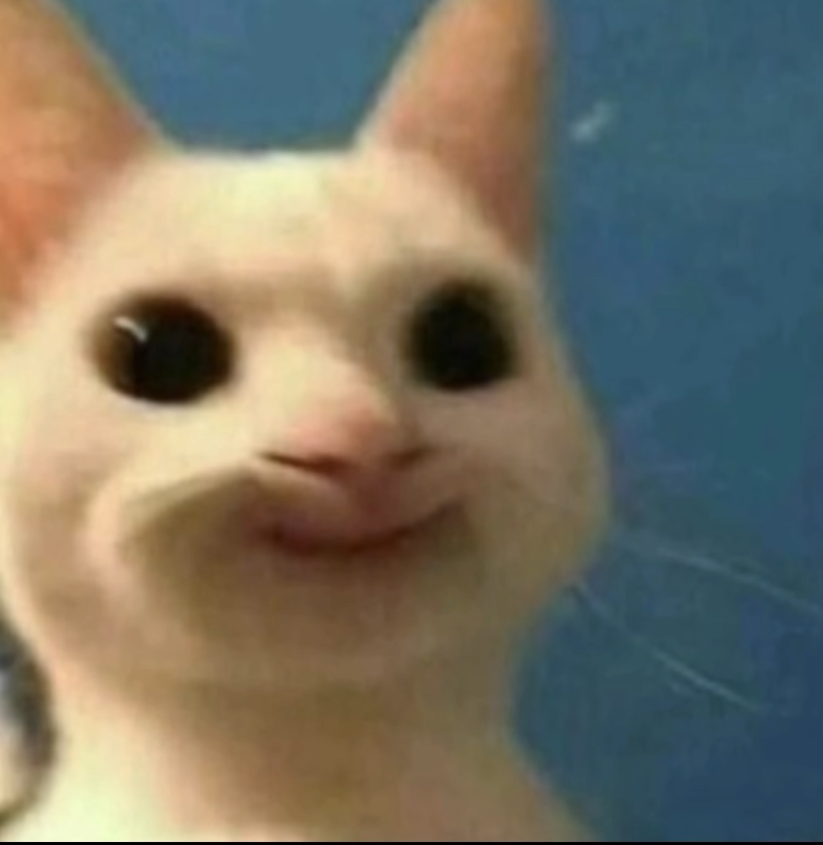 1741580084325.png