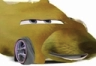 1746464821285.png