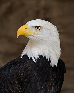 1746895187343.png
