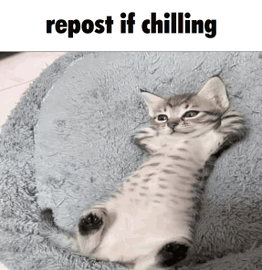 1747575256369.png