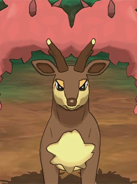 1748207958441.gif