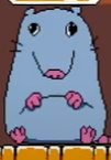 1749202319090.png