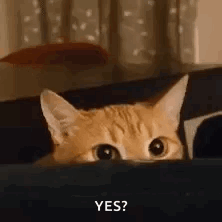 1749840131083.gif