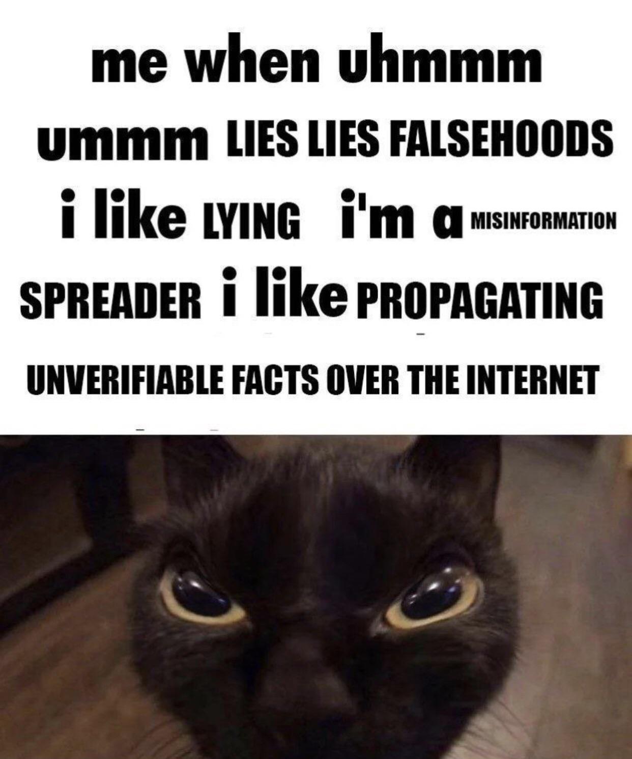 1750007830485.jpeg