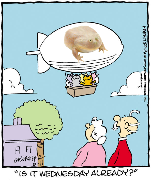 1750255141011.png