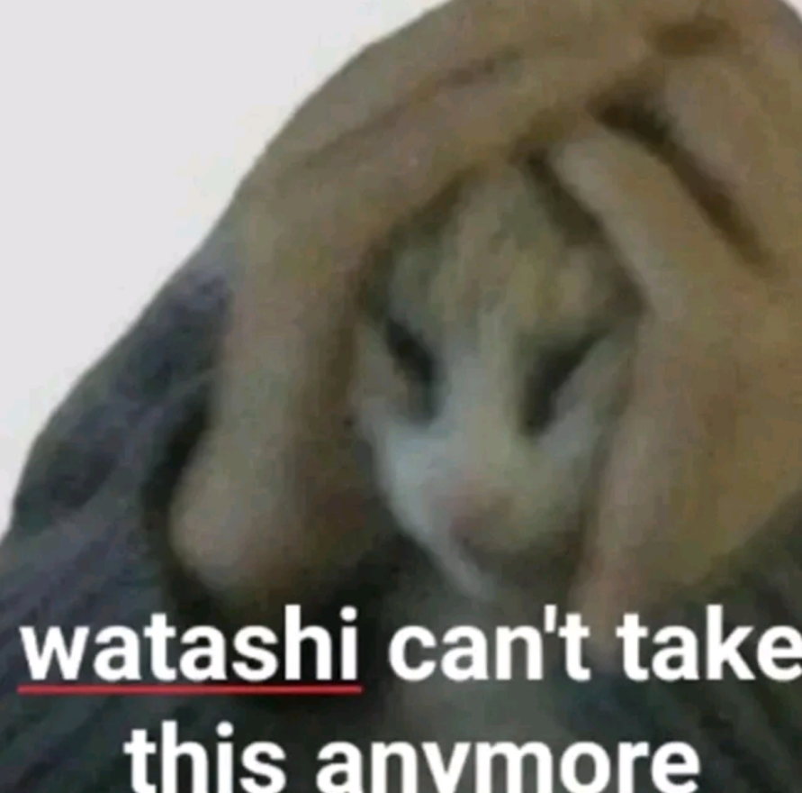 1751083143602.png