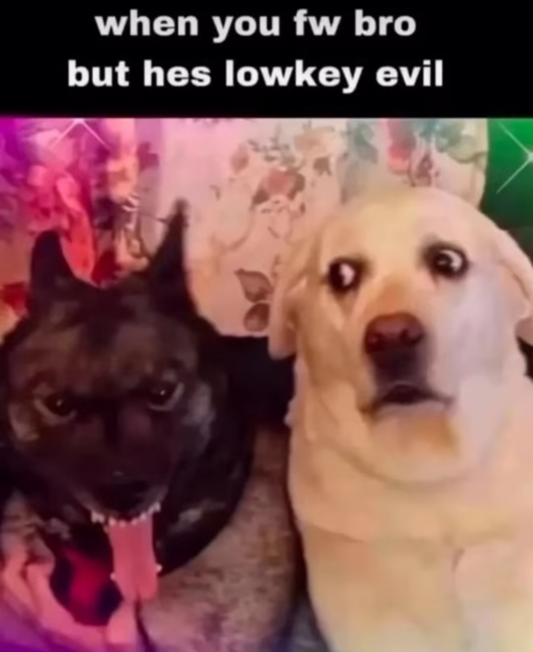 1751278522585.png