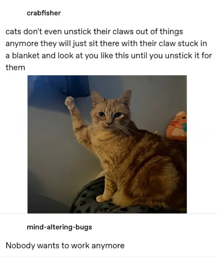 1751731956938.png
