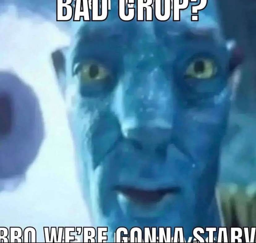 1752114074306.png