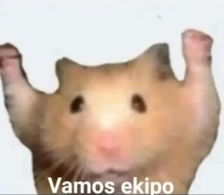 1752330740865.jpeg