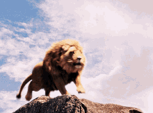 1752391619038.gif
