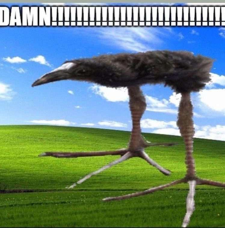 1753658345830.png
