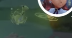 1755499625006.png