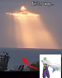 1757338328804.jpeg