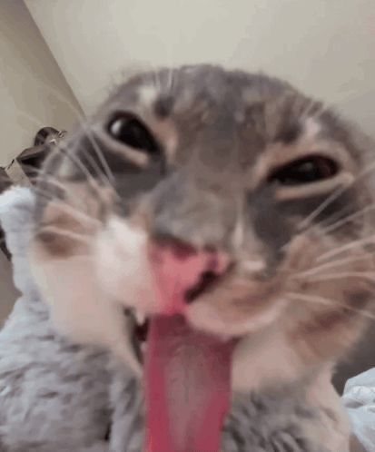 1758073509908.png