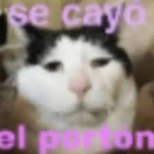 1758684741604.png
