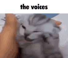 1759806714680.jpeg