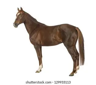 1759923859686.png