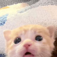 1776001151954.png