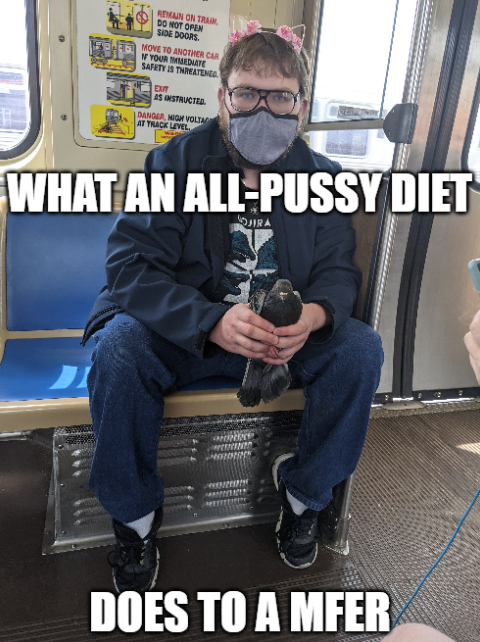1AAE9A16-1AE3-47F6-A13E-354F7D914E7A.png