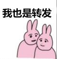 1B348389B6A382B38F41B0A302811980_0.jpg