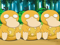 200px-Psyduck_Eggs.png