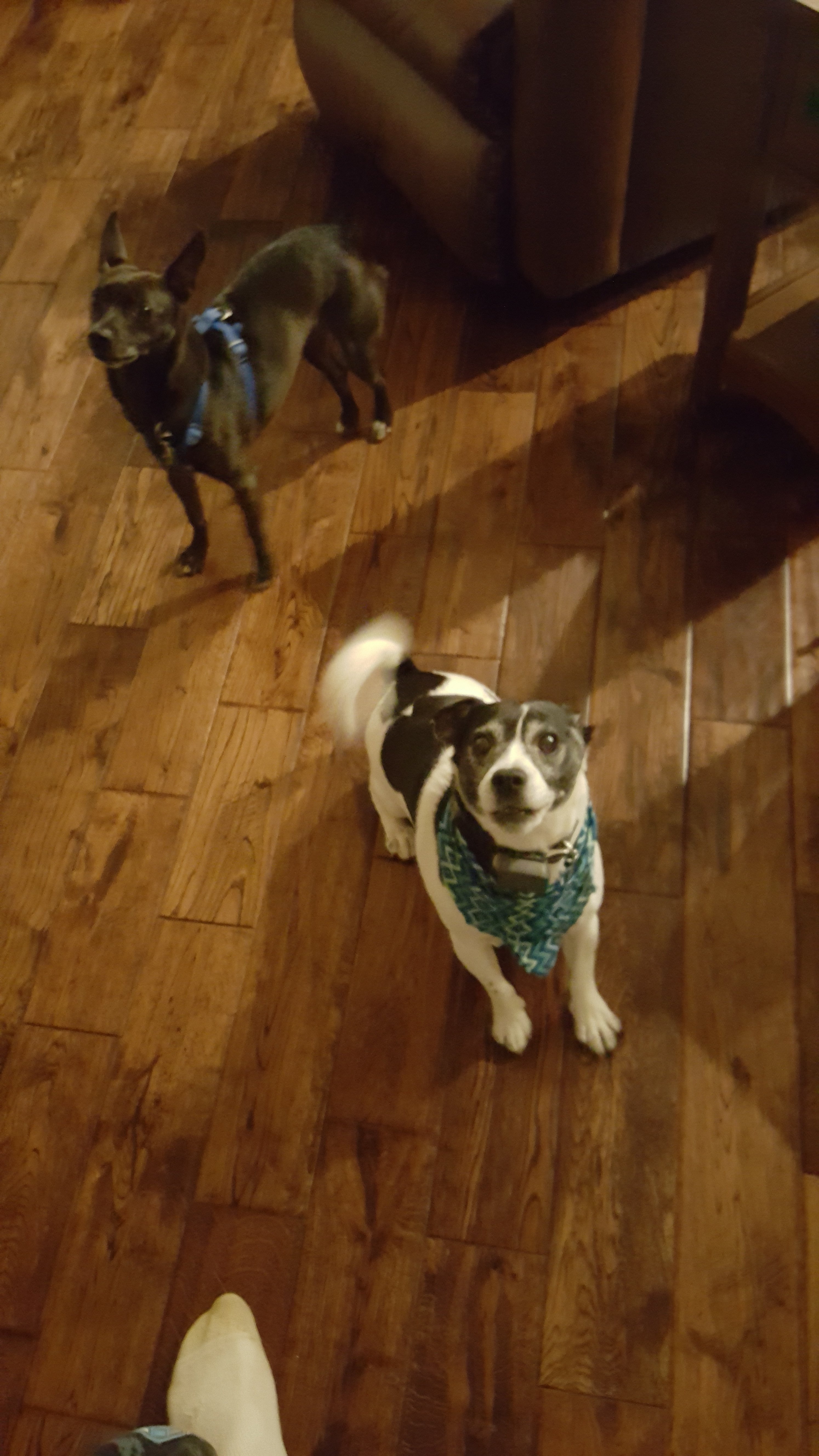 20190605_221620.jpg