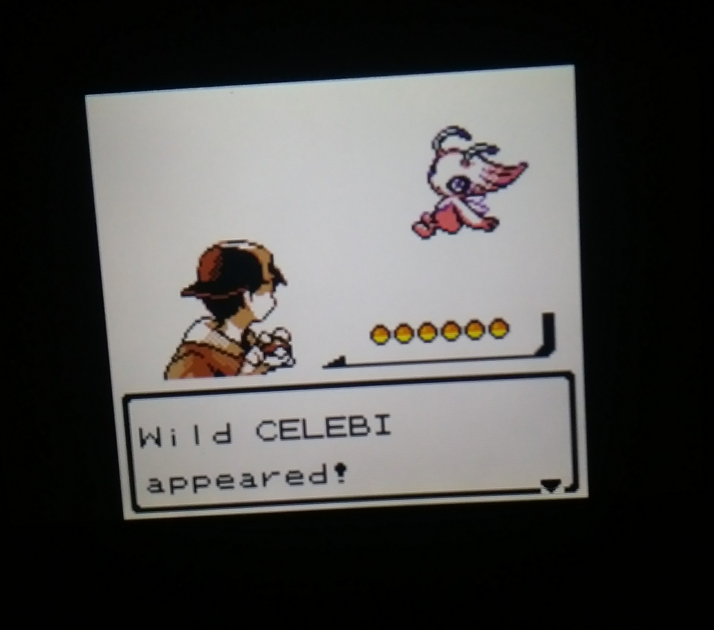 Gen 8] My luck in this game continues with shiny Galarian Farfetch