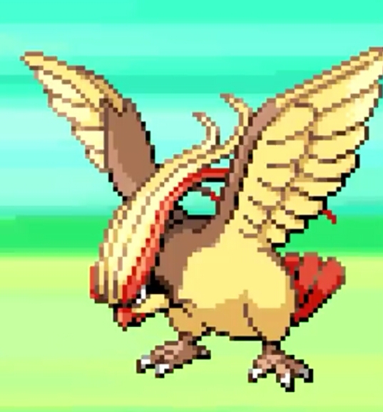 2020-07-29 10.24.57.jpg