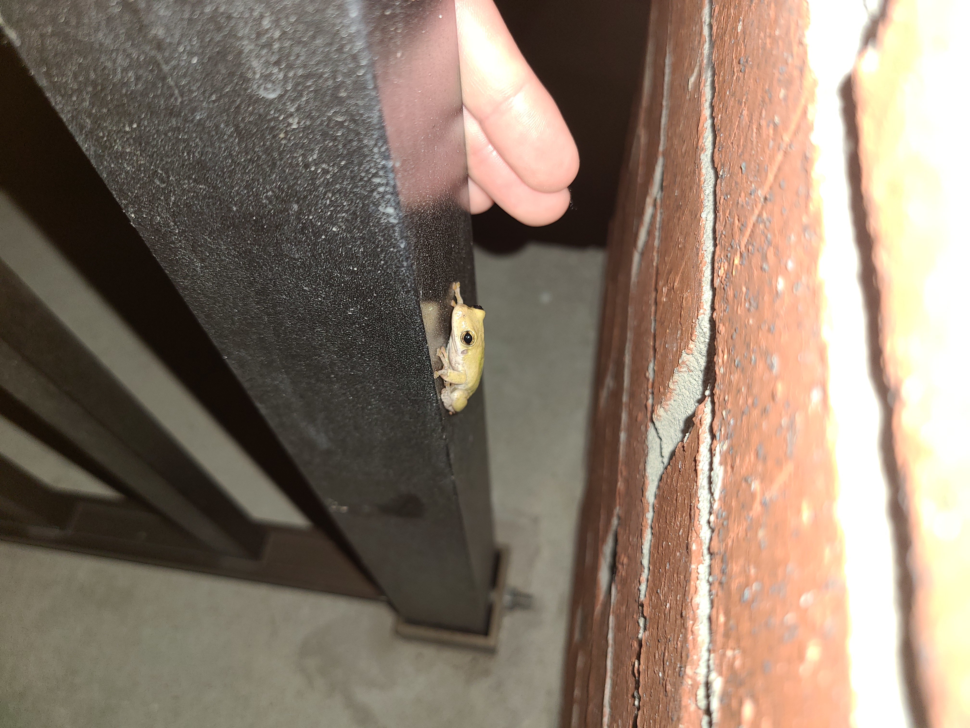 20201107_192427.jpg