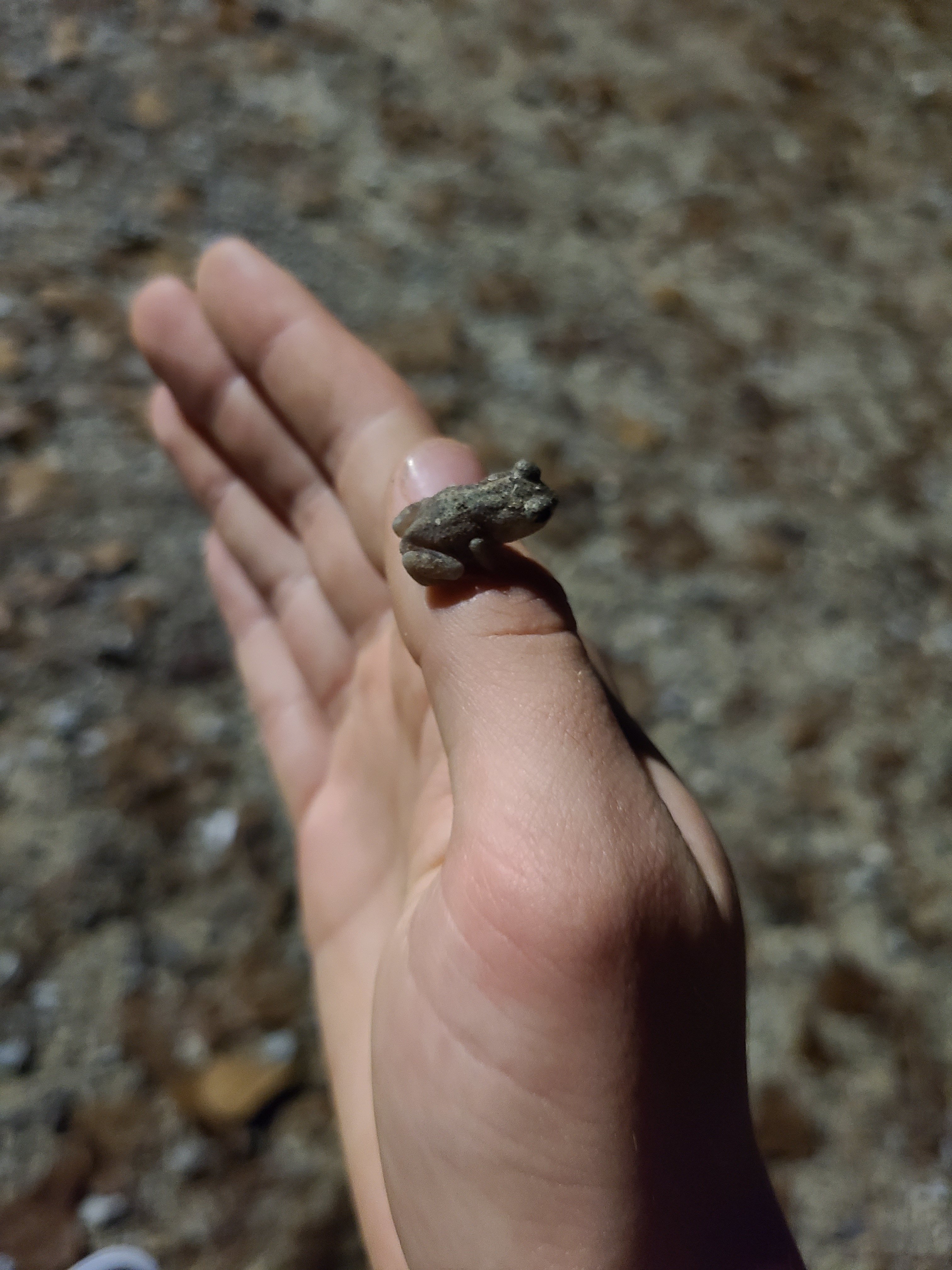 20201114_193530.jpg